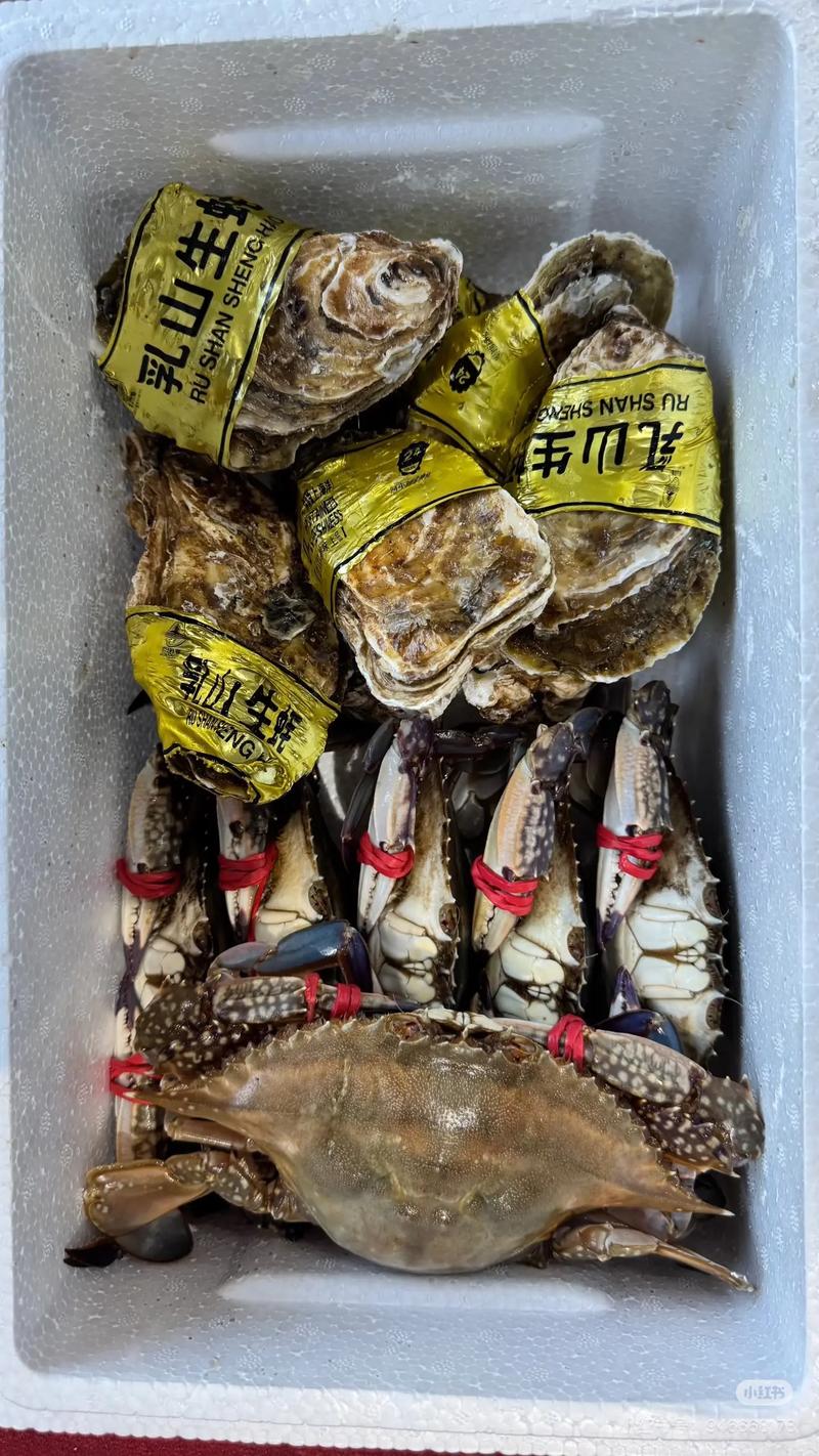 海参批发市场动态解析